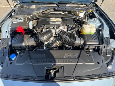 2024 Ford Mustang Dark Horse