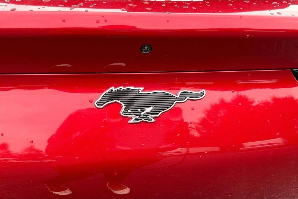 2021 Ford Mustang Mach-E California Route 1